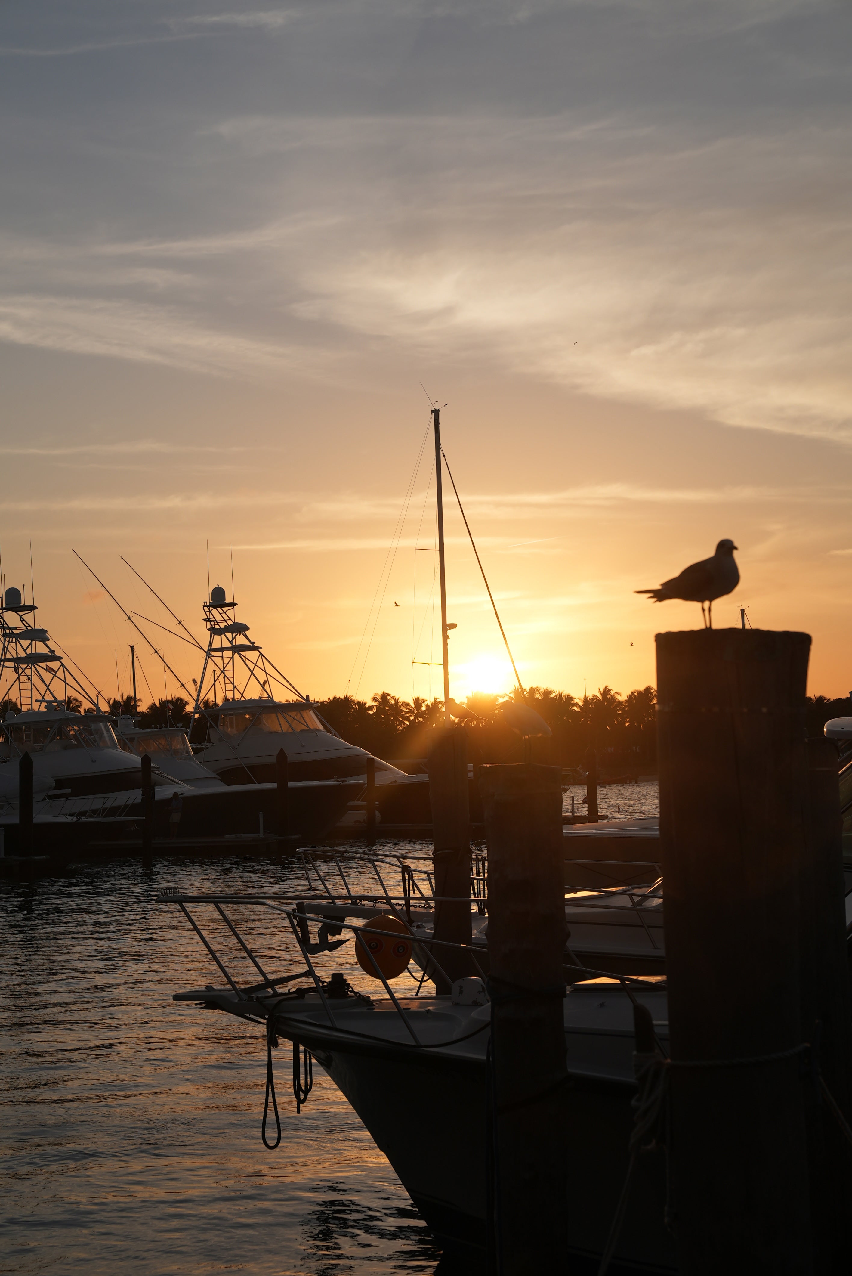 HAVN Residences & Yacht Club (Brochure)